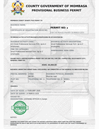 Provisional single business permit